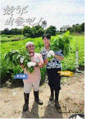 票房数据复盘配图